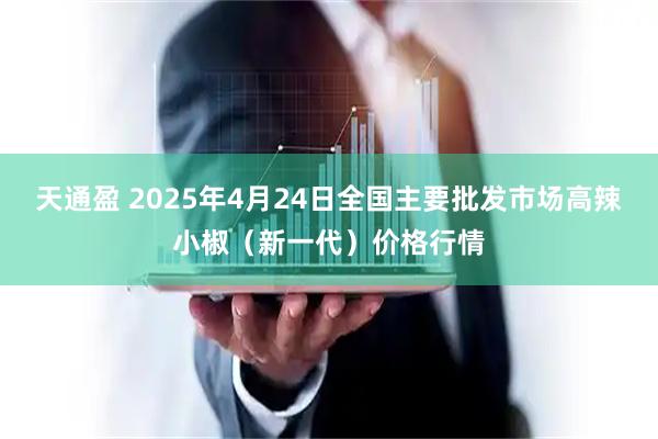 天通盈 2025年4月24日全国主要批发市场高辣小椒（新一代）价格行情
