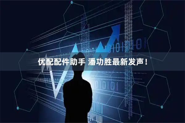 优配配件助手 潘功胜最新发声！