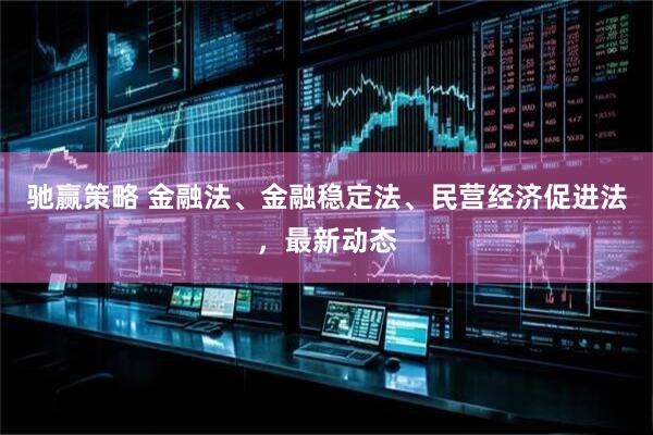 驰赢策略 金融法、金融稳定法、民营经济促进法，最新动态
